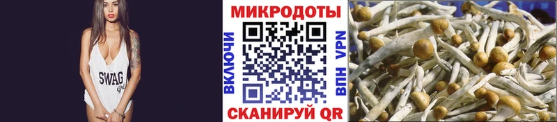 Псилоцибиновые грибы Psilocybine cubensis  где найти   дарк нет клад  Якутск 